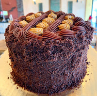 Chocolate Dulce de Leche Cake